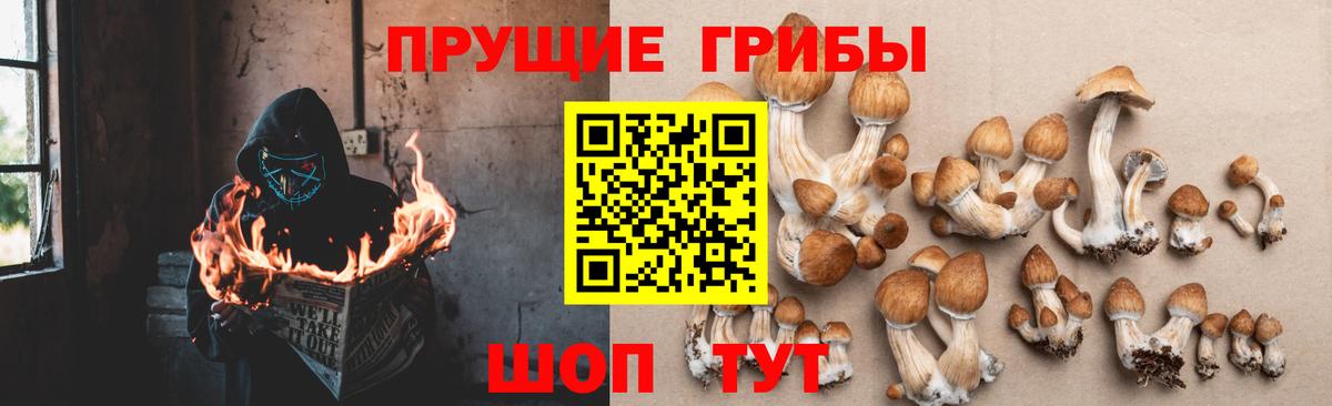 Галлюциногенные грибы прущие грибы  Вход с VPN  закладки  Галлюциногенные грибы GOLDEN TEACHER  Самара 